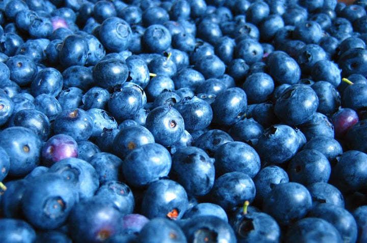 Which Terpenes Are in Blueberry Yum Yum?