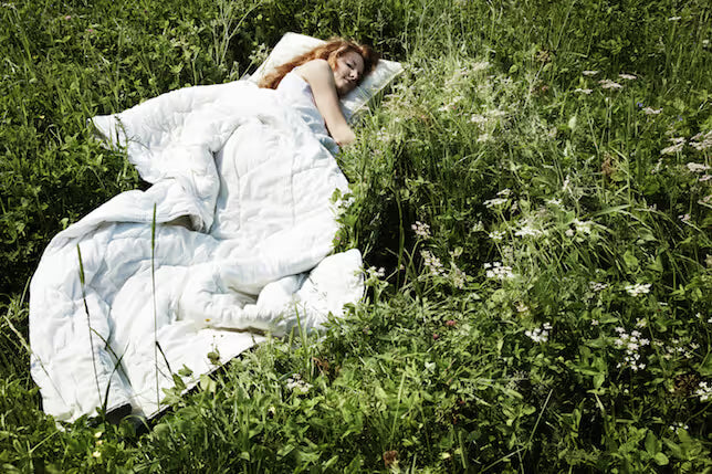 3 Terpenes Known to Support Sleep and Relaxation