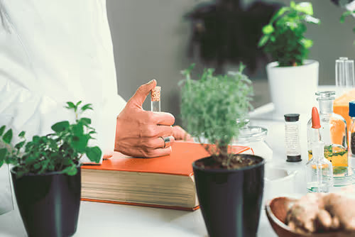 3 Terpenes Known To Support Energy and Focus