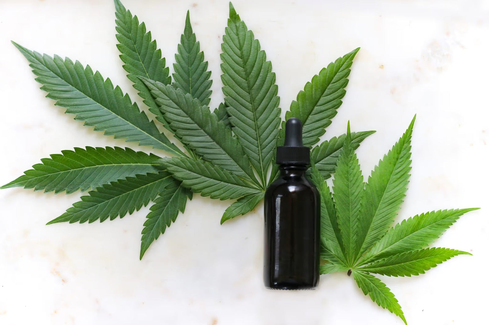 Lab Effect's Terpene Of The Week: Myrcene