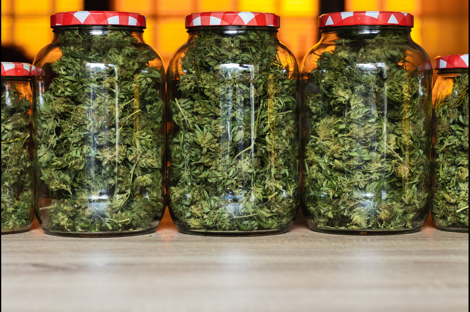 Terpene Therapy 101