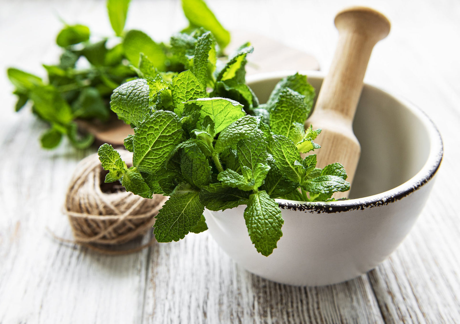 Terpene Recipe: Mint Pea Nage Infused with β-pinene