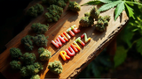 Strain Report: White Runtz