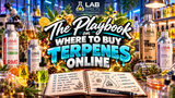 The Playbook on Where to Buy Terpenes Online