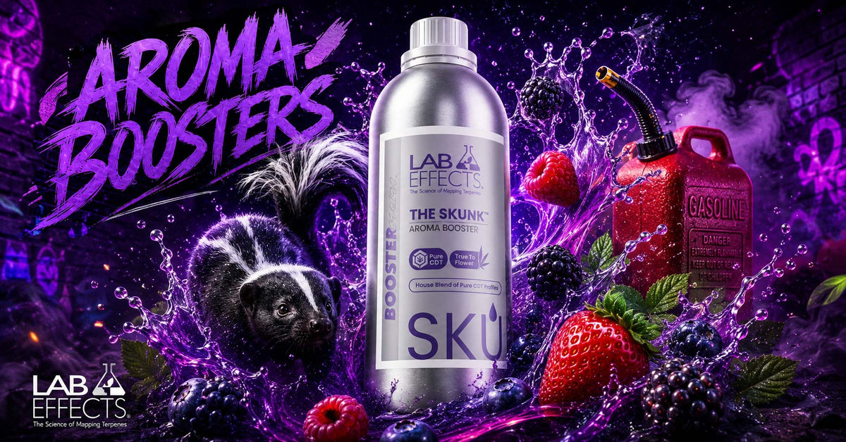 Aroma Boosters