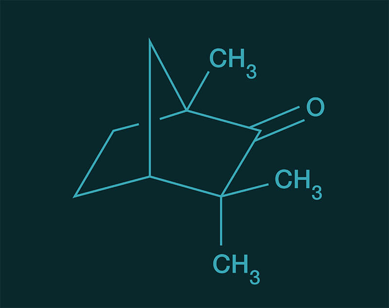 Alpha Fenchone molecular structure