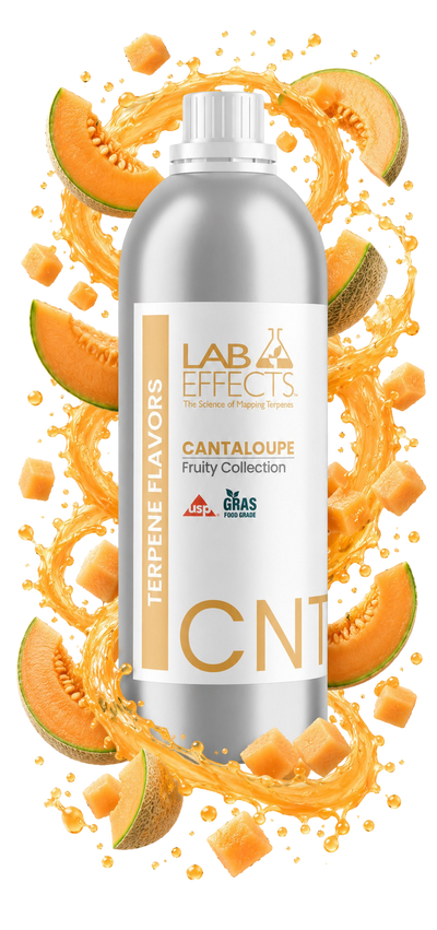 Cantaloupe