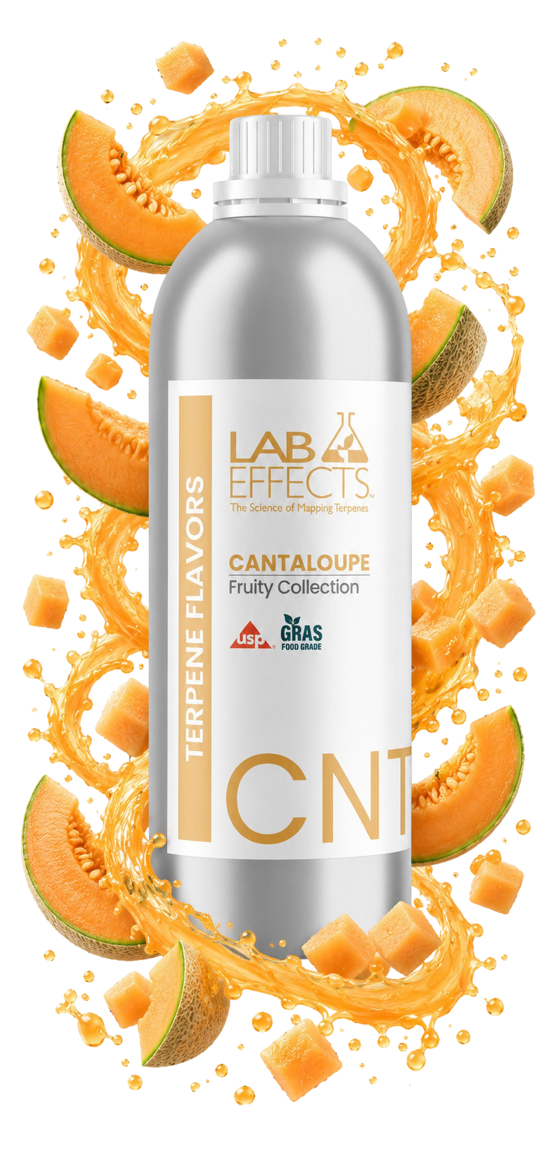 Cantaloupe