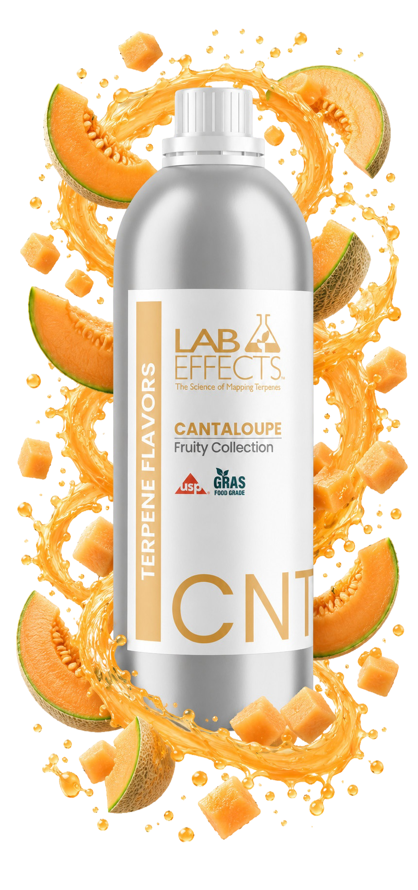 Cantaloupe