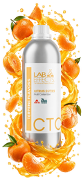 Citrus Cuties