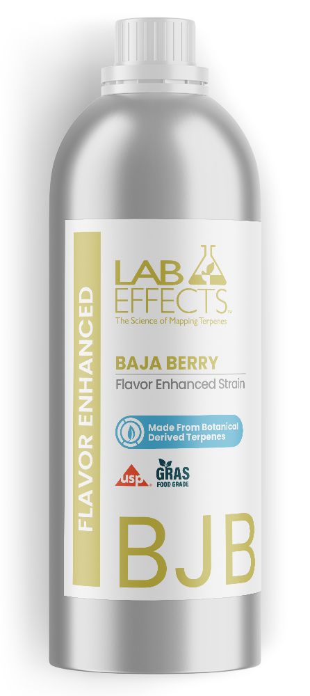 Baja Berry