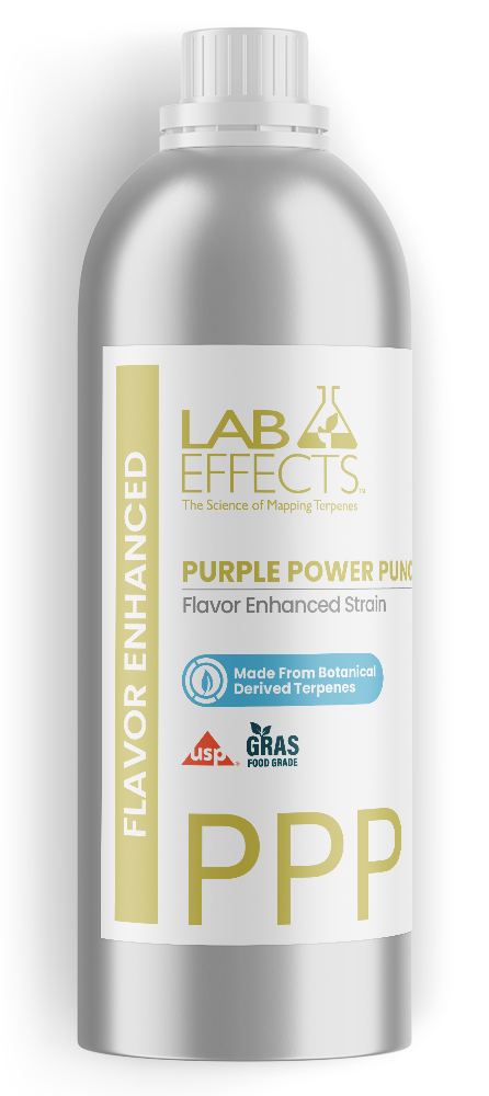 Purple Plum