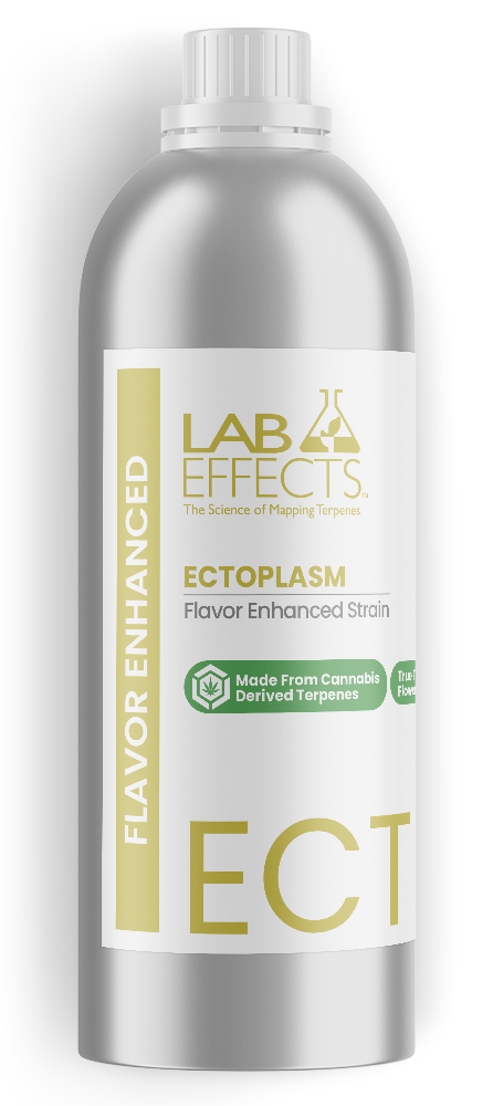 Ectoplasm