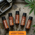 Cannabis Derived Terpenes - Sample Kits