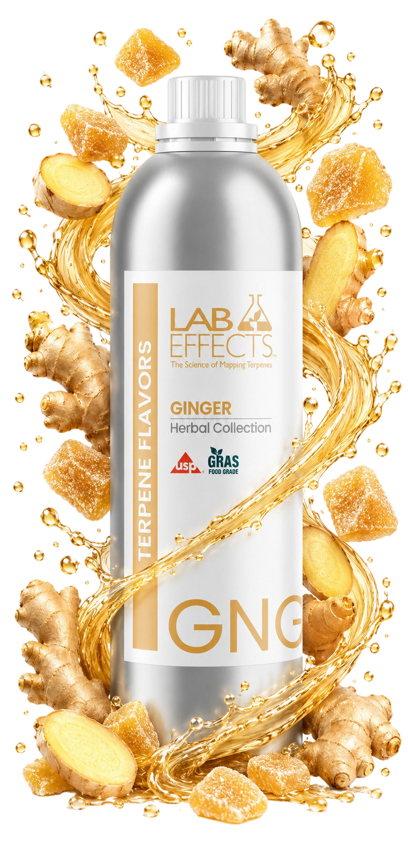 Ginger