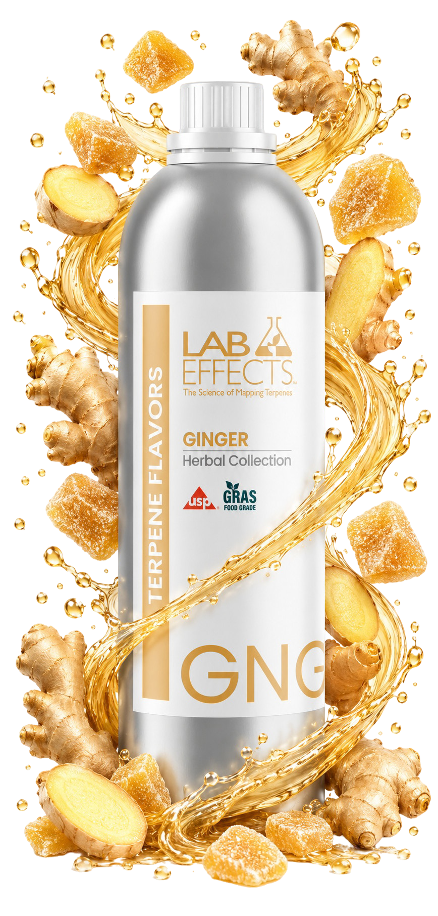 Ginger