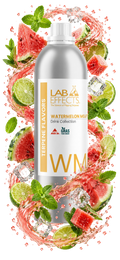 Watermelon Mojito