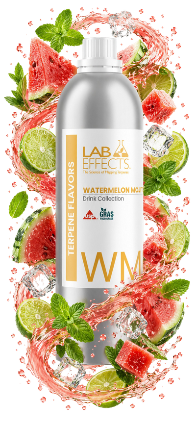 Watermelon Mojito