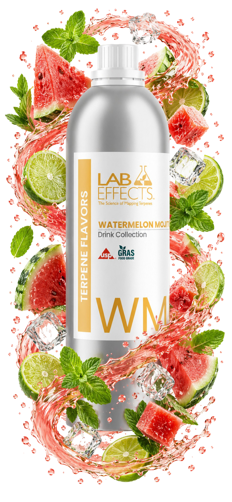 Watermelon Mojito