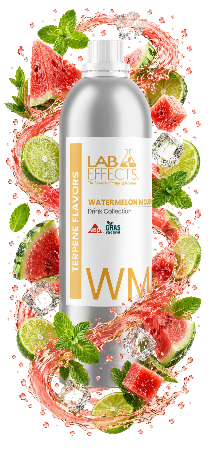 Watermelon Mojito