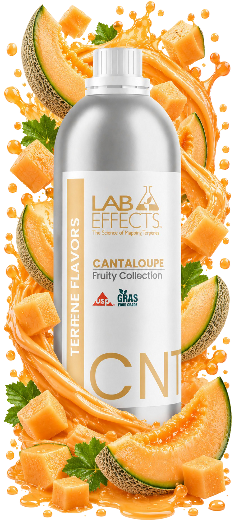 Cantaloupe