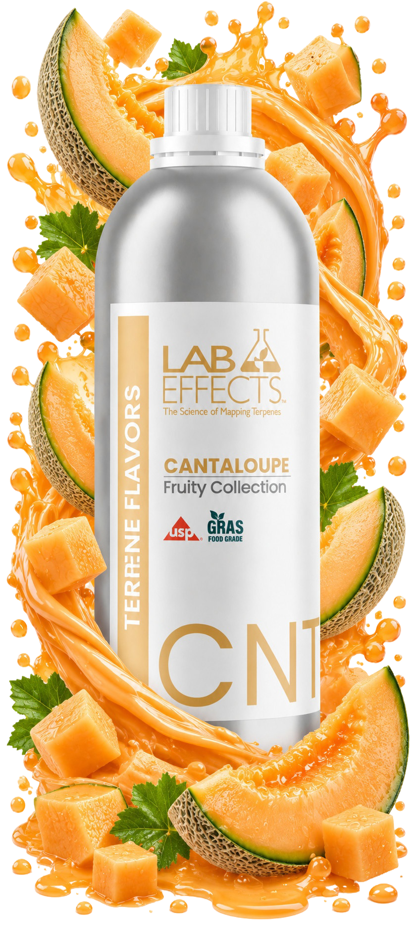 Cantaloupe