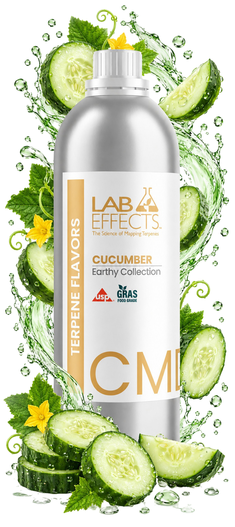 Cucumber
