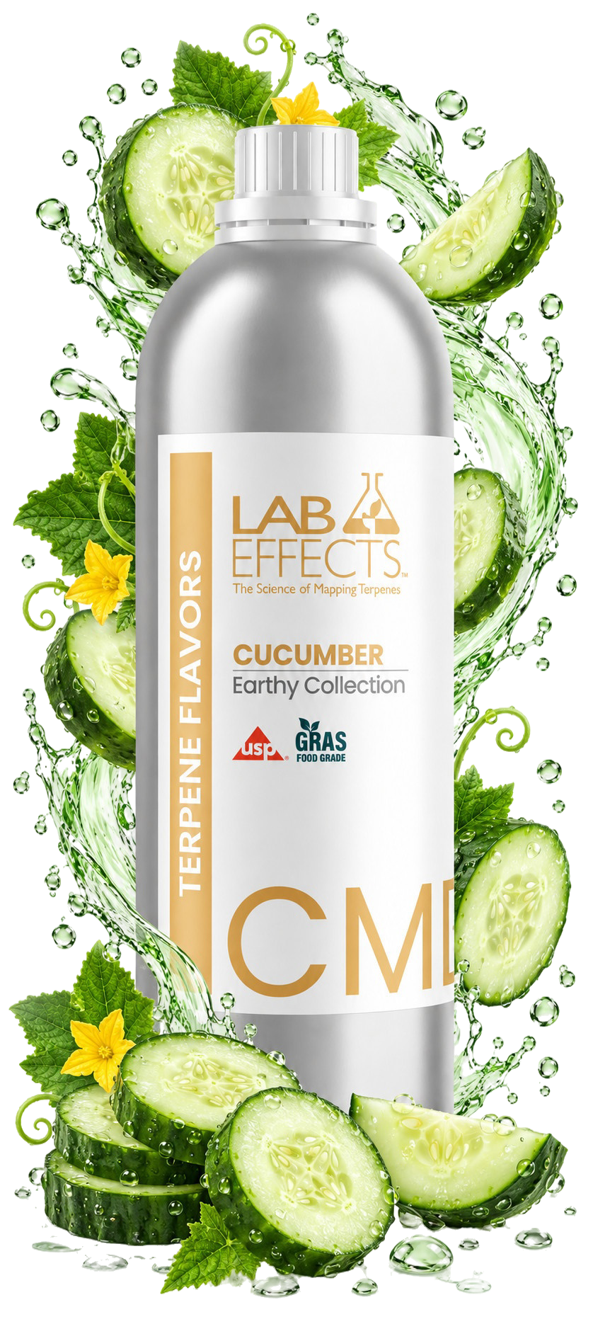 Cucumber