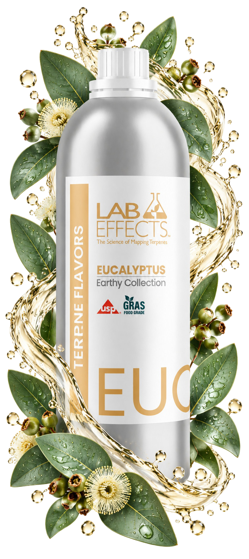 Eucalyptus