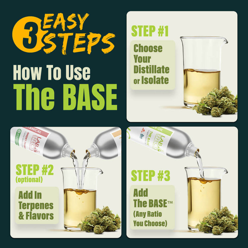 The BASE™