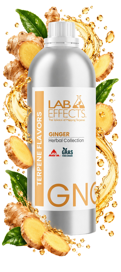 Ginger