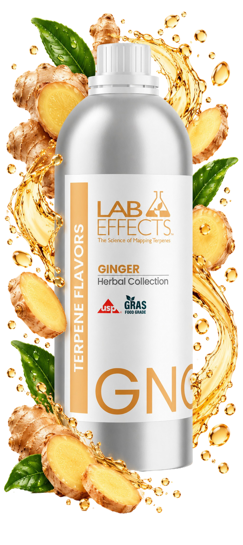 Ginger