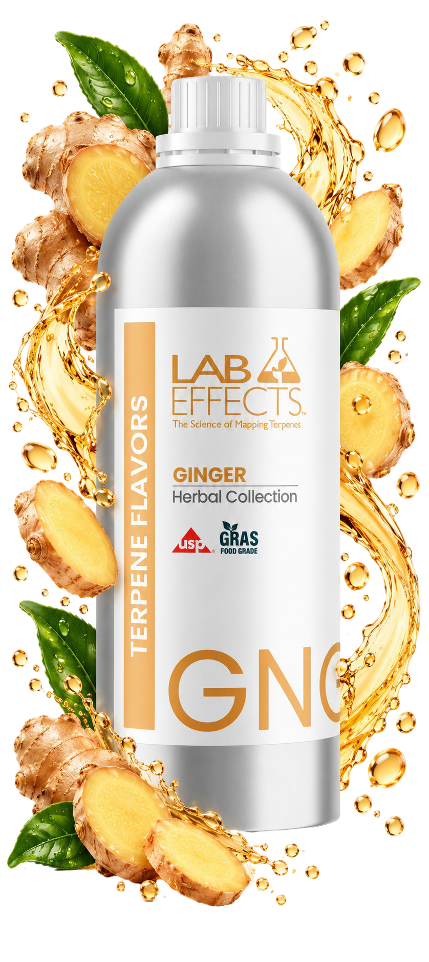 Ginger