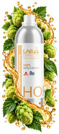 Hops