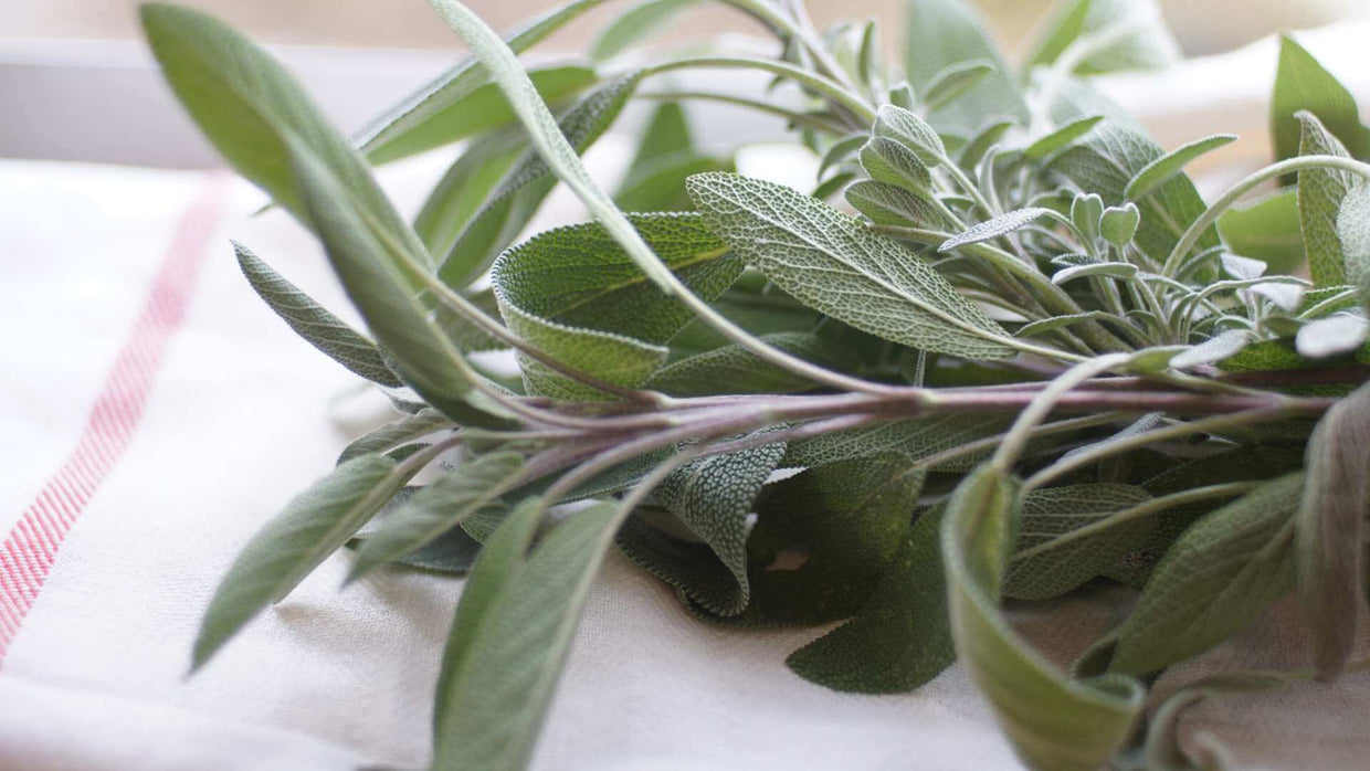 Sage