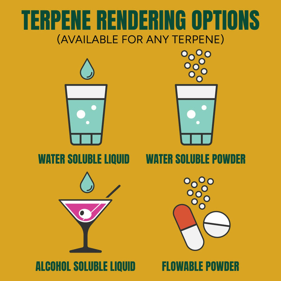 Terpene rendering options available for any terpene: water soluble liquid, water soluble powder, alcohol soluble liquid and flowable powder.