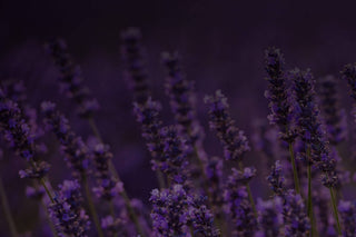 Linalool