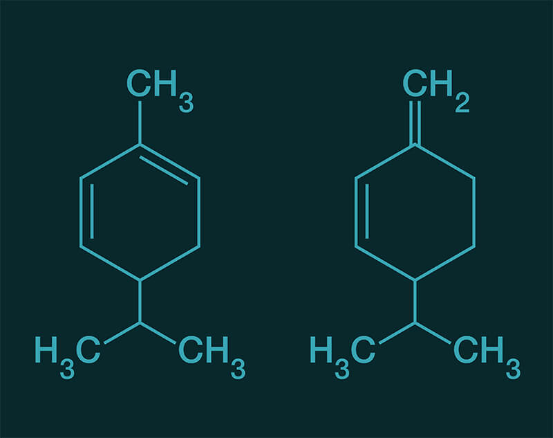 Alpha Phellandrene molecular structure