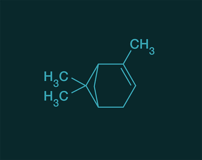 Alpha Pinene molecular structure