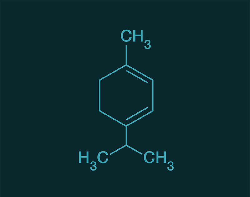 Alpha Terpinene molecular structure