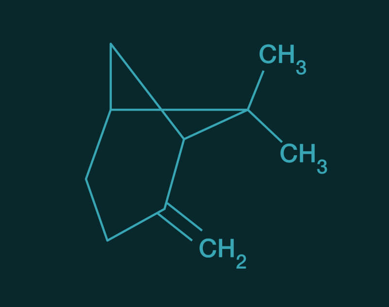 Beta Pinene molecular structure