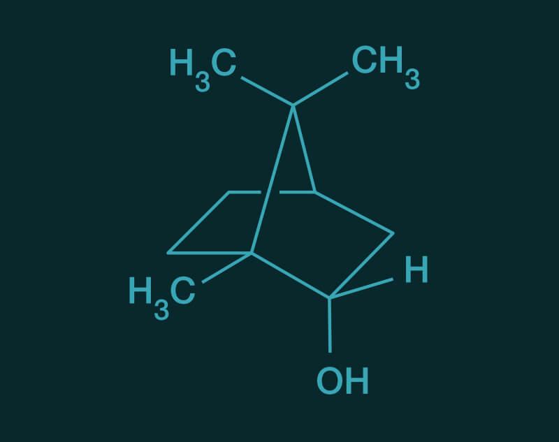 Borneol molecular structure