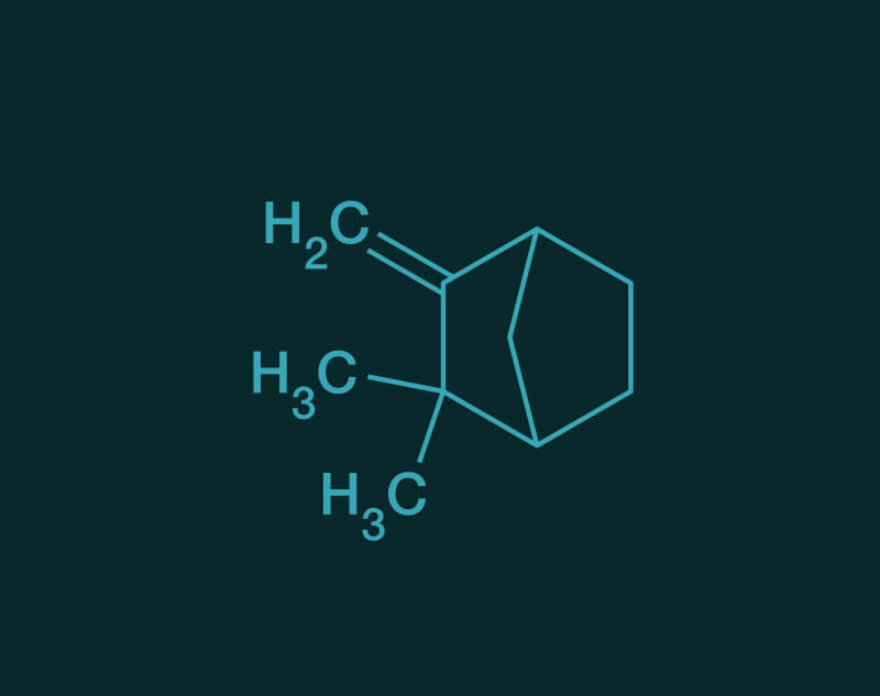 Camphene molecular structure