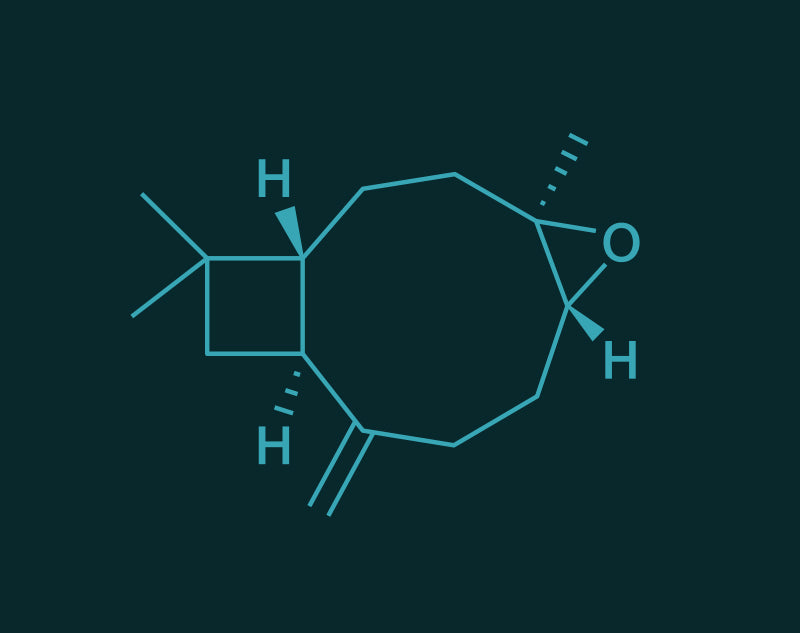 Caryophyllene Oxide molecular structure
