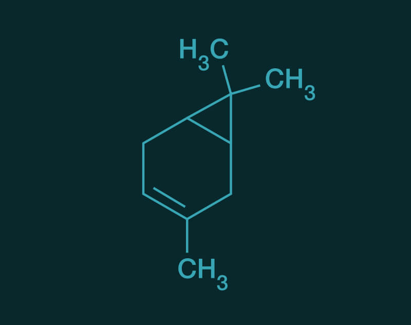 Delta 3 Carene molecular structure