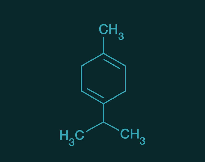 Gamma Terpinene molecular structure