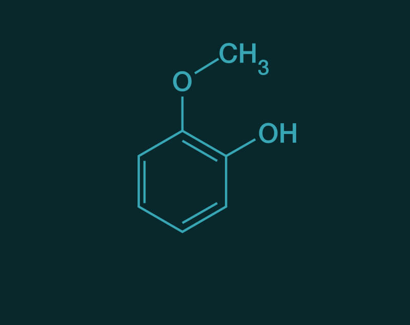 Guaiacol molecular structure