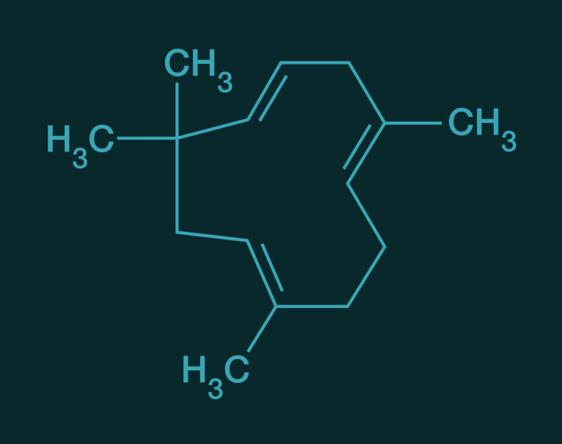 Humulene molecular structure