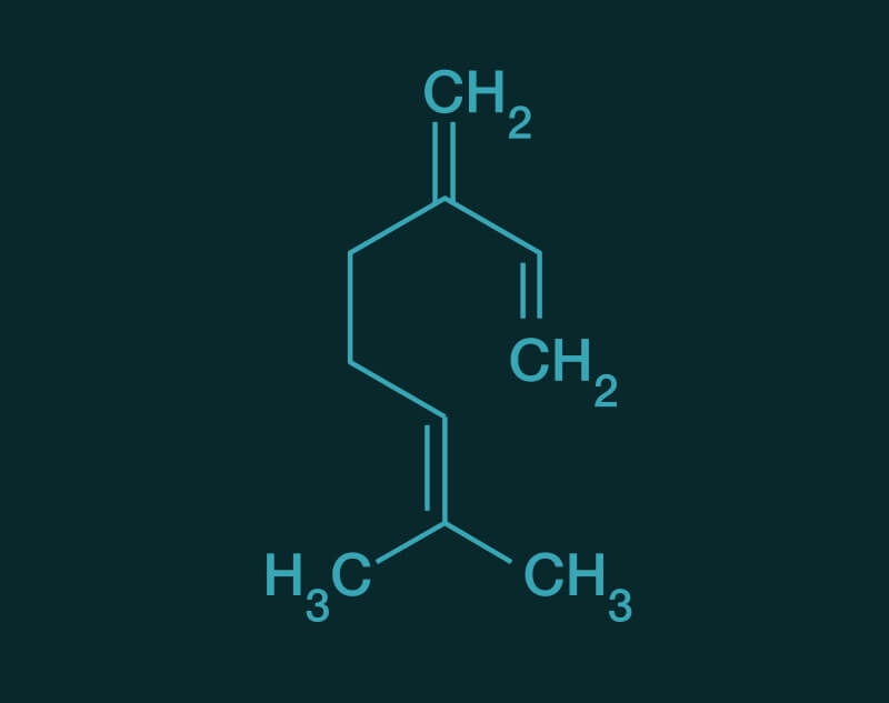Myrcene molecular structure