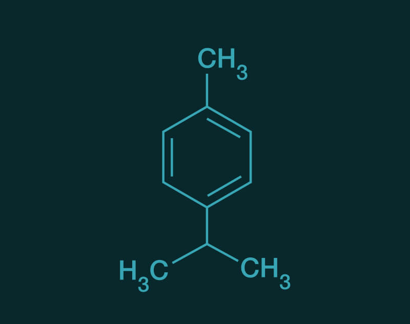 Para Cymene molecular structure